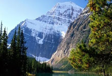 天涯社区怎么找：一步步教你轻松加入这个热门平台！