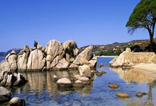 天涯社区怎么找：一步步教你轻松加入这个热门平台！